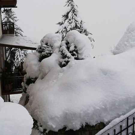 Appartement Schöffmann Bad Kleinkirchheim Exterior foto